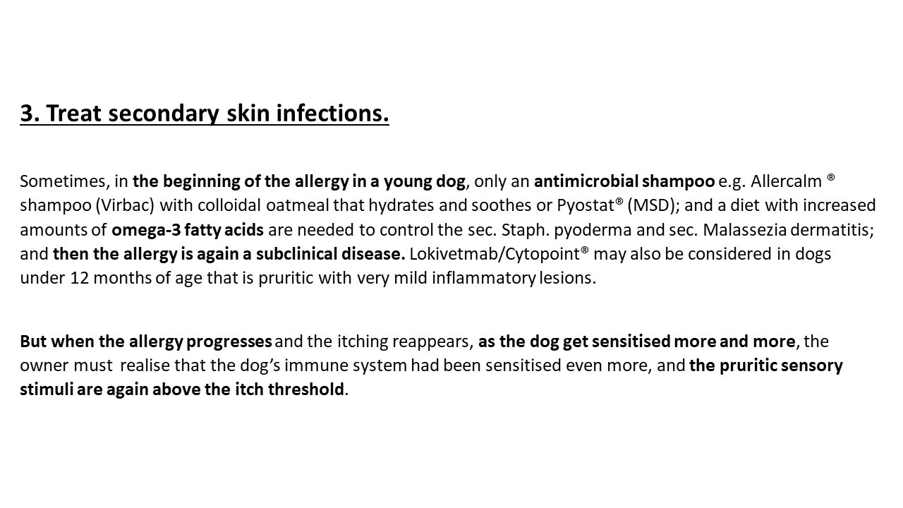 Pruritic_Dog_Webinar_Slide_25.jpg